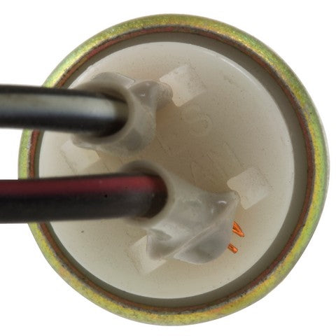 Brake Light Switch WVE 1S5656