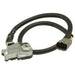 Neutral Safety Switch WVE 1S5658