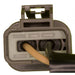 Neutral Safety Switch WVE 1S5715