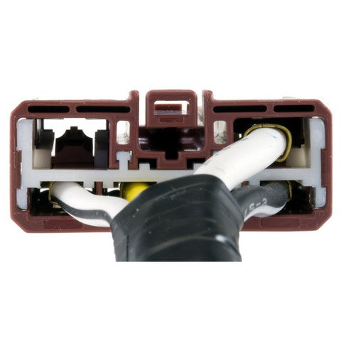 Ignition Switch WVE 1S5922
