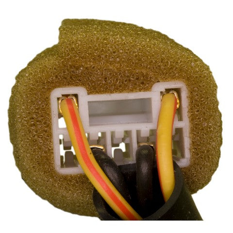 Ignition Switch WVE 1S5981