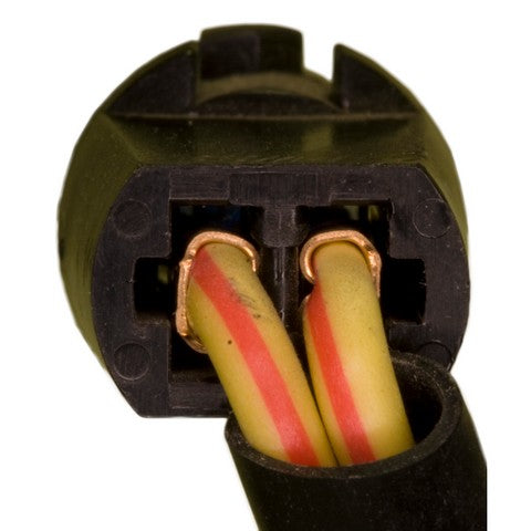 Ignition Switch WVE 1S5981