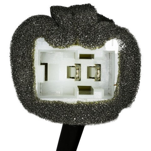 Ignition Switch WVE 1S6053
