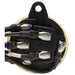 Ignition Switch WVE 1S6061