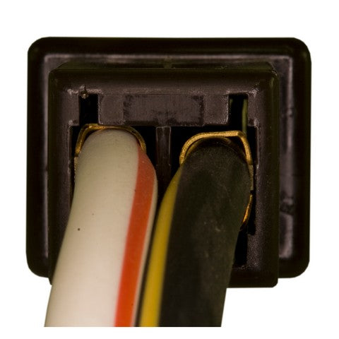 Ignition Switch WVE 1S6381