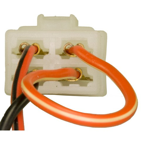 Ignition Switch WVE 1S6389