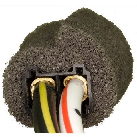 Ignition Switch WVE 1S6395