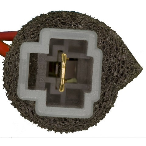 Ignition Switch WVE 1S6395