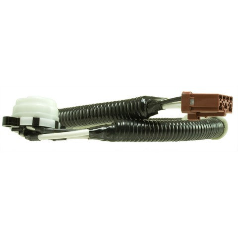 Ignition Switch WVE 1S6451