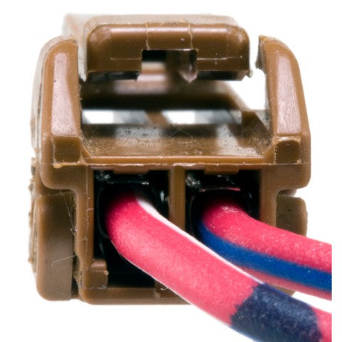 Ignition Switch WVE 1S6452