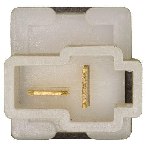 Clutch Starter Safety Switch WVE 1S7137