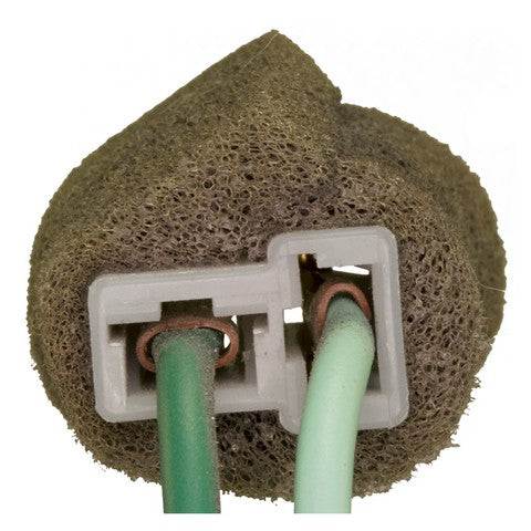 Fog Light Switch WVE 1S7322