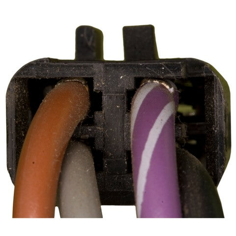 Fog Light Switch WVE 1S8149