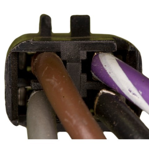 Fog Light Switch WVE 1S8153