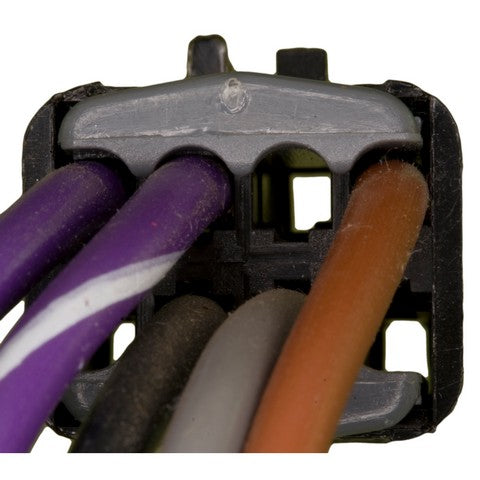 Fog Light Switch WVE 1S8157