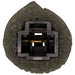 Parking Brake Switch WVE 1S9280