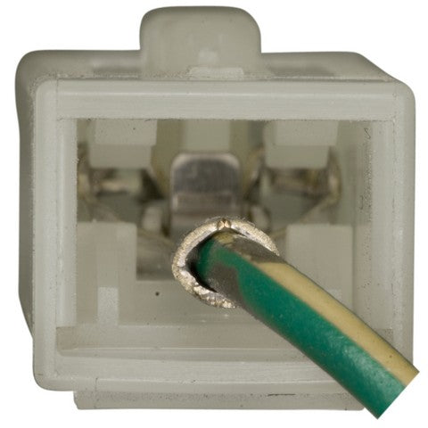 Cruise Control Switch WVE 1S9504