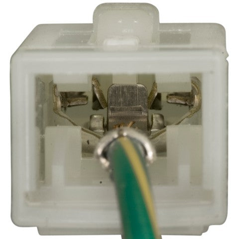 Cruise Control Switch WVE 1S9506