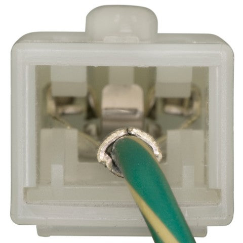 Cruise Control Switch WVE 1S9513