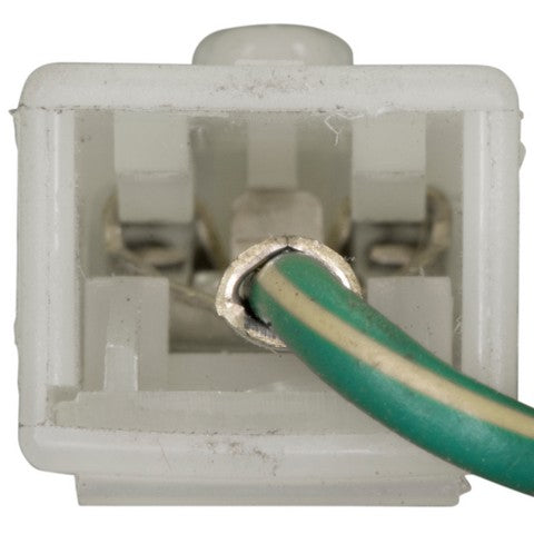 Cruise Control Switch WVE 1S9514