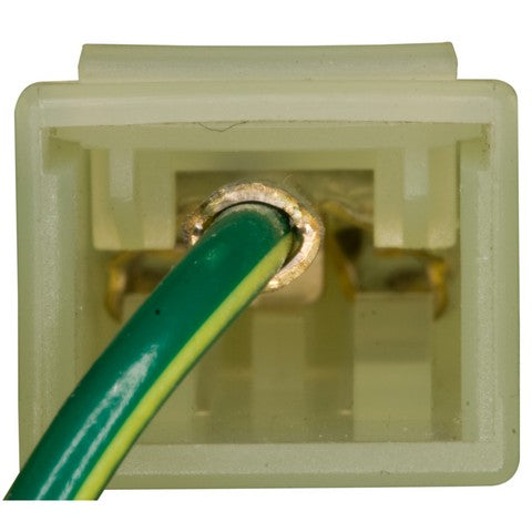 Cruise Control Switch WVE 1S9538