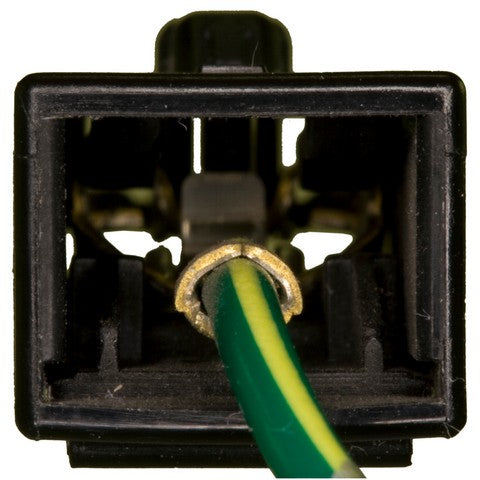 Cruise Control Switch WVE 1S9542
