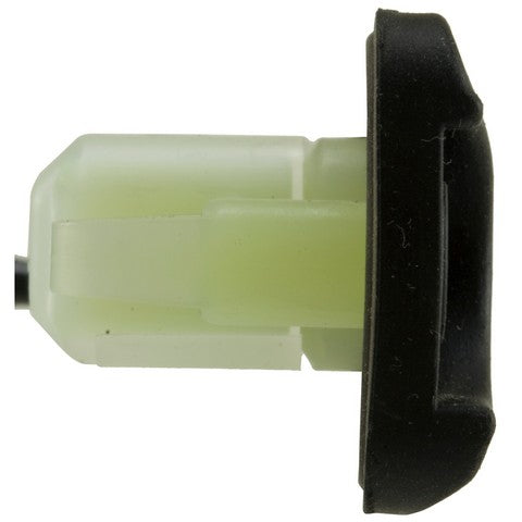 Trunk Lid Release Switch WVE 1S9850