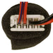 Ignition Switch WVE 1S9856