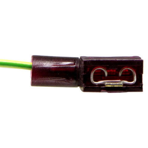 Cruise Control Switch WVE 1S9895