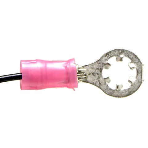 Cruise Control Switch WVE 1S9895