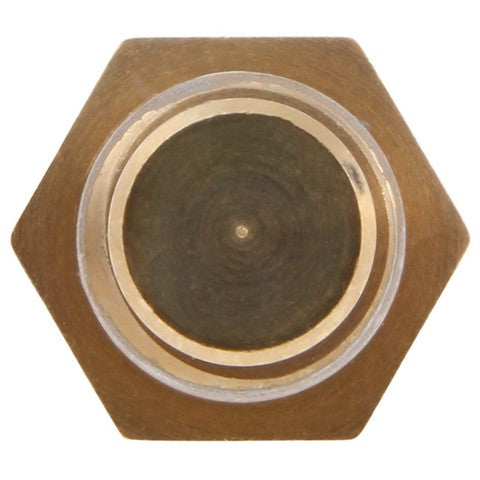 Engine Coolant Temperature Sender WVE 1T1001