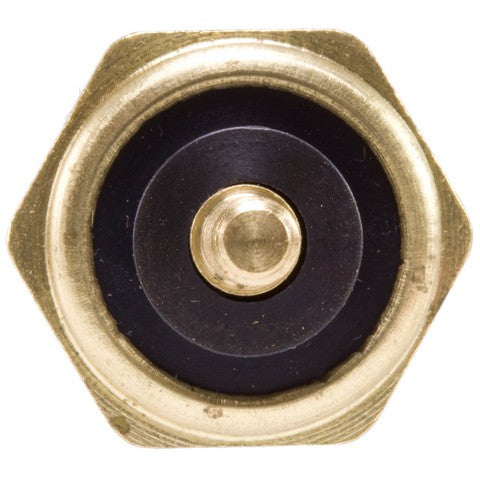 Engine Coolant Temperature Sender WVE 1T1062