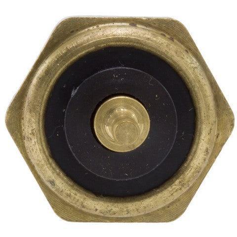 Engine Coolant Temperature Sender WVE 1T1063