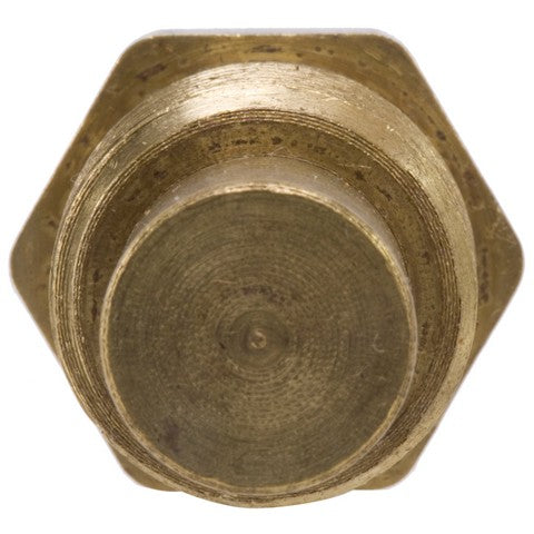 Engine Coolant Temperature Sender WVE 1T1063