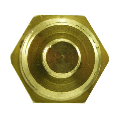 Engine Coolant Temperature Sender WVE 1T1096