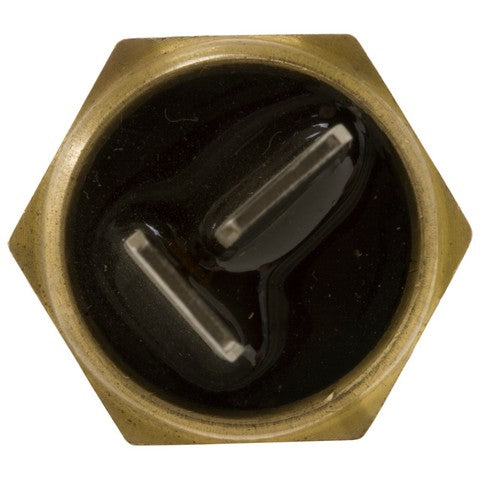 Engine Coolant Temperature Sender WVE 1T1107