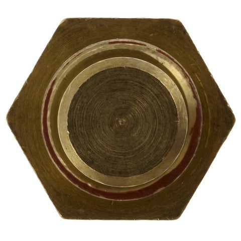 Engine Coolant Temperature Sender WVE 1T1122