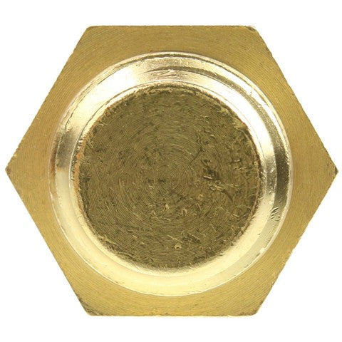 Engine Coolant Temperature Switch WVE 1T1165