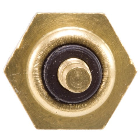 Engine Coolant Temperature Sender WVE 1T1181