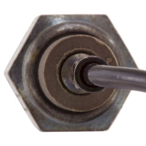 Engine Coolant Temperature Sender WVE 1T1187