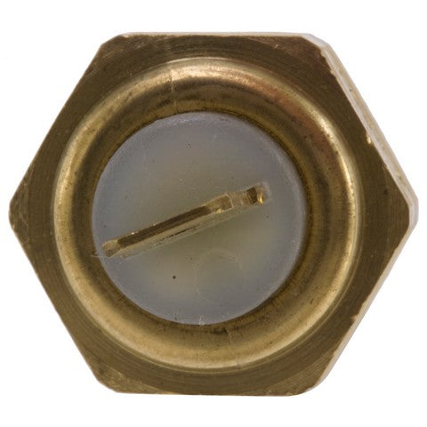 Engine Coolant Temperature Sender WVE 1T1197