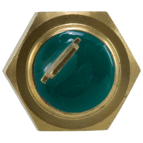 Engine Coolant Temperature Switch WVE 1T1216