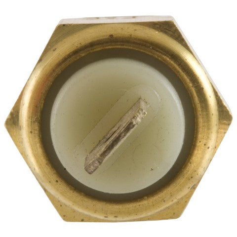 Engine Coolant Temperature Sender WVE 1T1234