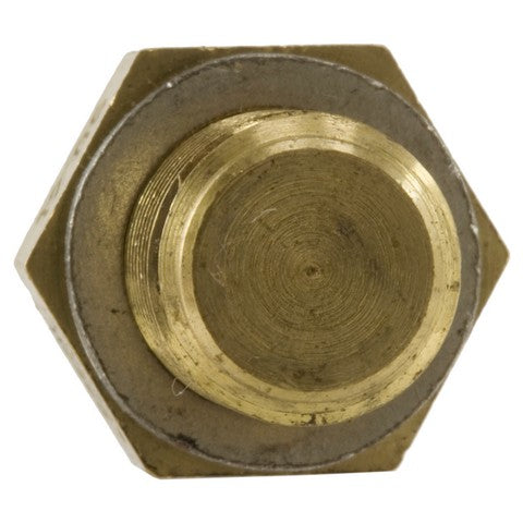 Engine Oil Temperature Switch WVE 1T1255