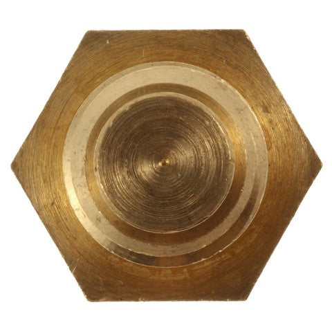 Engine Coolant Temperature Sender WVE 1T1348