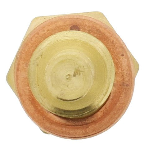 Engine Coolant Temperature Sensor MotoRad 1TS1196