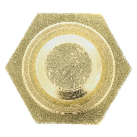 Engine Coolant Temperature Switch MotoRad 1TS1244