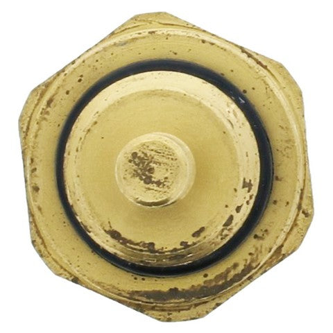 Engine Coolant Temperature Sensor MotoRad 1TS1462