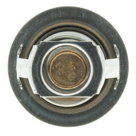 Engine Coolant Thermostat MotoRad 203-160
