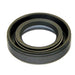 Steering Gear Worm Shaft Seal DT Components 221720